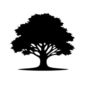 Spreading Canopy Tree