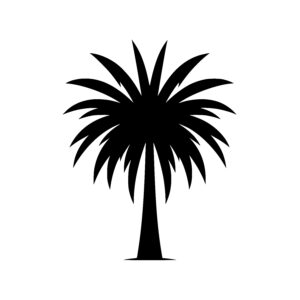 Lone Tropical Palm