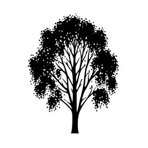 Lush Canopy Tree