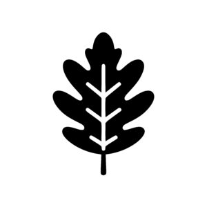Lobed Leaf Design