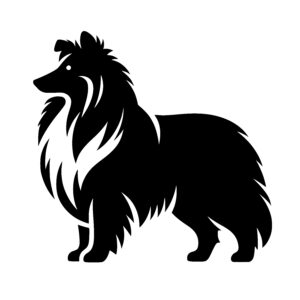 Majestic Collie Silhouette