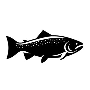 Trout in Motion