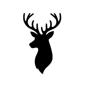 Elegant Deer Profile