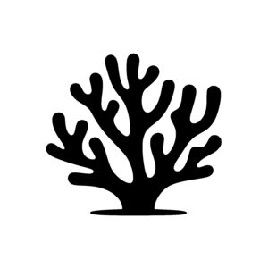 Coral Branch Structure