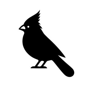 Curious Crow Profile