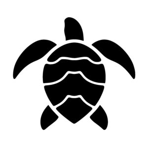 Turtle Top View