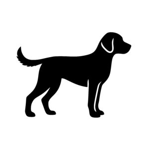 Curious Canine Silhouette