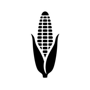 Vertical Corn Showdown