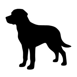 Attentive Dog Silhouette