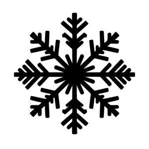 Elegant Snowflake