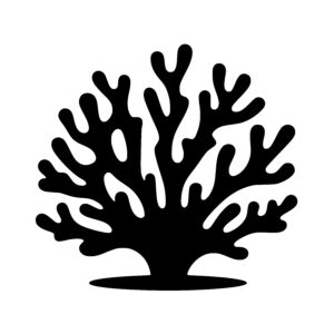 Branching Coral Structure