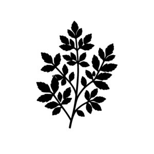 Lobed Leaf Pattern