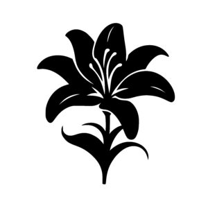 Lily Blossom Structure