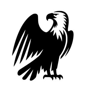 Fierce Eagle Stance