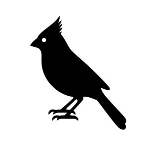 Ready to Soar Cardinal