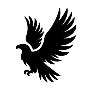 Soaring Eagle Majesty