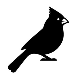Curious Sparrow Profile
