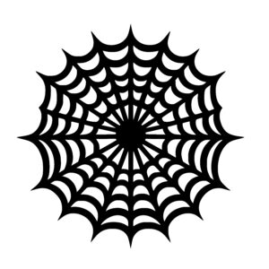 Intricate Spider Web
