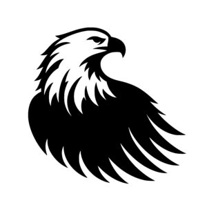 Eagle Ready to Flight