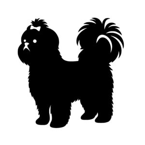 Fluffy Pomeranian Pal