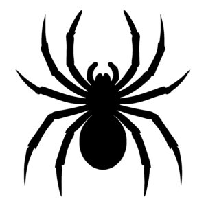 Poised Spider Shape