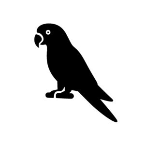 Alert Parrot Pose