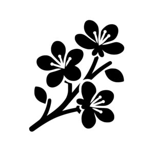 Blossoming Flower Beauty