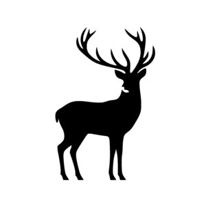 Graceful Deer Profile