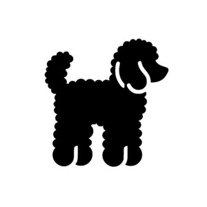 Joyful Poodle Stance
