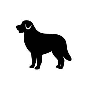 Energetic Retriever Outline