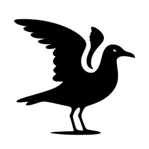 Seagull in Flight