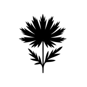 Jagged Leaf Blossom