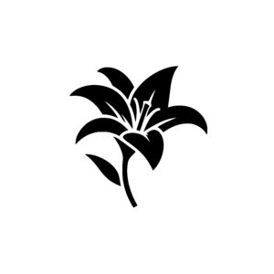 Balanced Lily Blossom