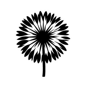 Radiant Flower Blossom