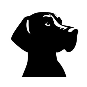 Lively Dog Profile