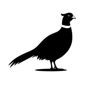 Alert Bird Profile
