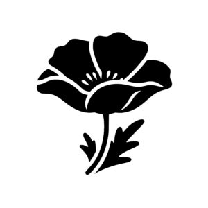 Elegant Poppy Flower