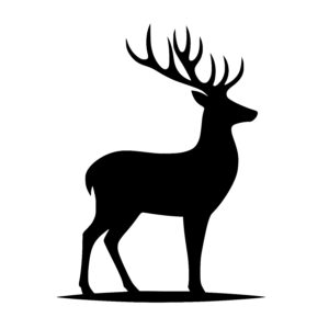 Alert Deer Silhouette