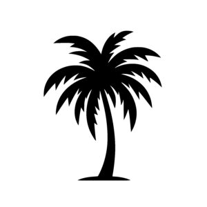 Lone Palm Tree
