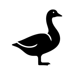 Elegant Goose Profile