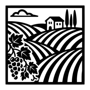 Grape Vineyard Haven