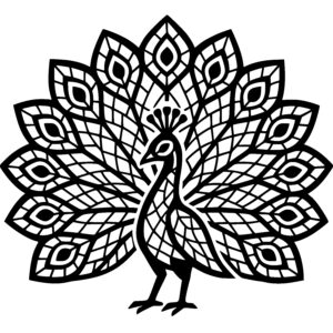 Geometric Splendid Peacock