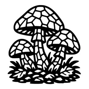 Mushroom Wonderland