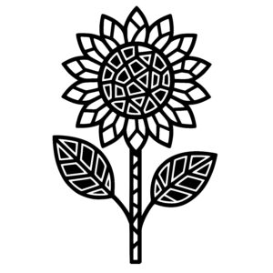 Sunflower Starburst