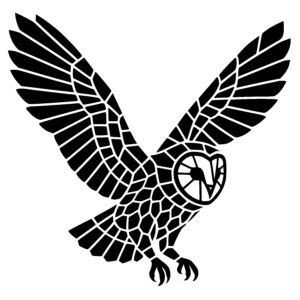 Geometric Flight Owl