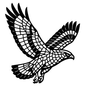 Geometric Hawk Flight