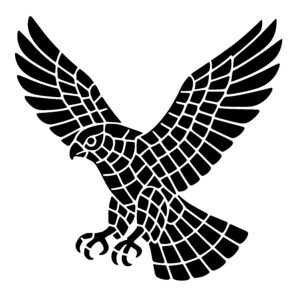 Dynamic Falcon Flight