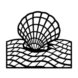 Shell above Waves