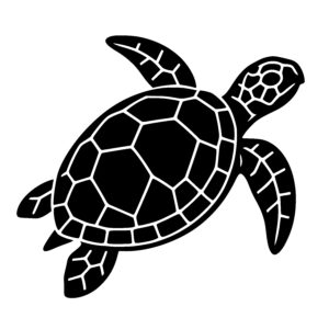 Elegant Swimming Turtle
