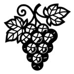 Vineyard Grape Cluster